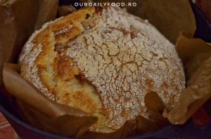 Paine alba fara framantare