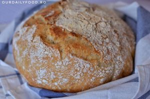 Paine alba fara framantare