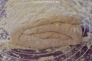 Paine alba fara framantare