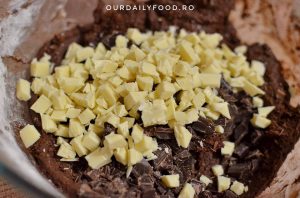 Fursecuri/biscuiti triplu ciocolata