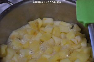 Pasta sau piure de mere fara zahar - pentru iarna